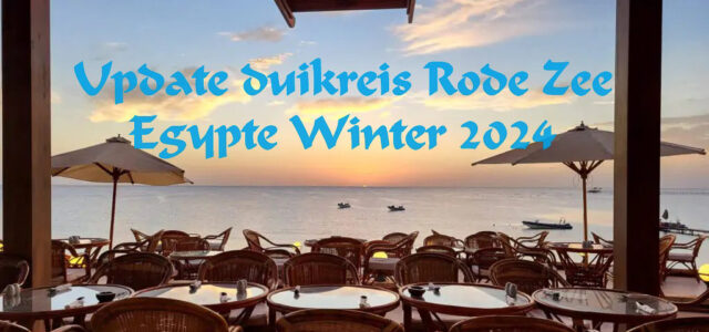 Update duikreis Rode Zee, Egypte Winter 2024